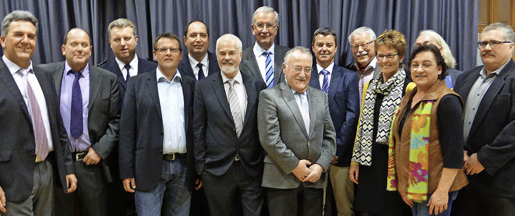 FDP will schärferes Profil in der Energiepolitik - Badische Zeitung