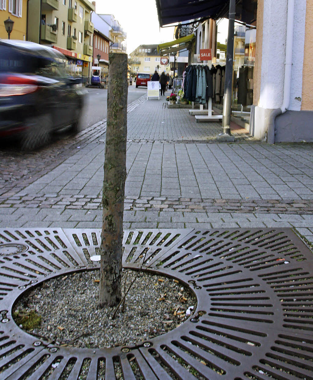 Eisenholz statt Rotahorn - Badische Zeitung