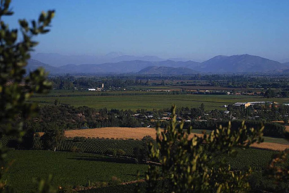 Fast wie im Kaiserstuhl: Weinanbau im chilenischen Santa Cruz (Foto: bkr) Fast wie im Kaiserstuhl: Weinanbau im chilenischen Santa Cruz (Foto: bkr)
