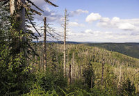 Mitten hinein in den Nationalpark Schwarzwald Mitten hinein in den Nationalpark Schwarzwald