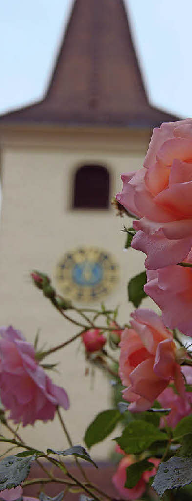 Acht Kirchen auf einen Blick - Badische Zeitung