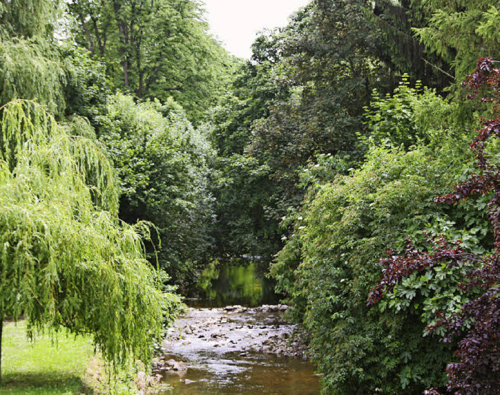 Wachsen mit Sinn und Verstand - Badische Zeitung