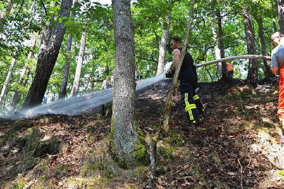 Die Freiwillige Feuerwehr Bad Säckingen musste einen Waldbrand zwischen Obersäckingen und Harpolingen löschen. (Foto: Felix Held) Die Freiwillige Feuerwehr Bad Säckingen musste einen Waldbrand zwischen Obersäckingen und Harpolingen löschen. (Foto: Felix Held)