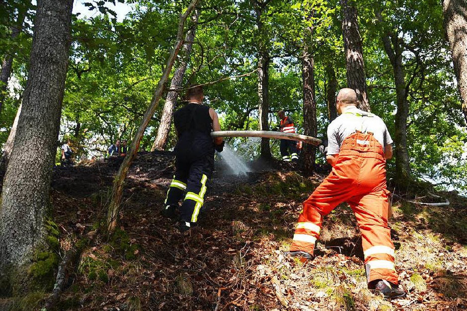 Die Freiwillige Feuerwehr Bad Säckingen musste einen Waldbrand zwischen Obersäckingen und Harpolingen löschen. (Foto: Felix Held) Die Freiwillige Feuerwehr Bad Säckingen musste einen Waldbrand zwischen Obersäckingen und Harpolingen löschen. (Foto: Felix Held)