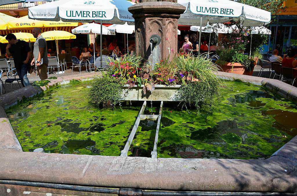 Cafés am Neptunbrunnens beklagen Algen, Abfälle und Taubenkot - Badische Zeitung