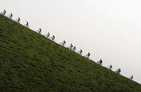 Rund um Furtwangen um DM-Titel Rund um Furtwangen um DM-Titel