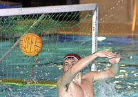 Der Ball Der Ball