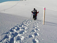 Schneeschuhwandern: 34 Touren auf dem Feldberg Schneeschuhwandern: 34 Touren auf dem Feldberg