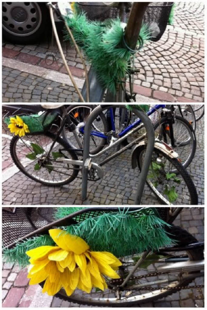 Frühling lässt sein grünes Rad Detailverliebtheiten fudder