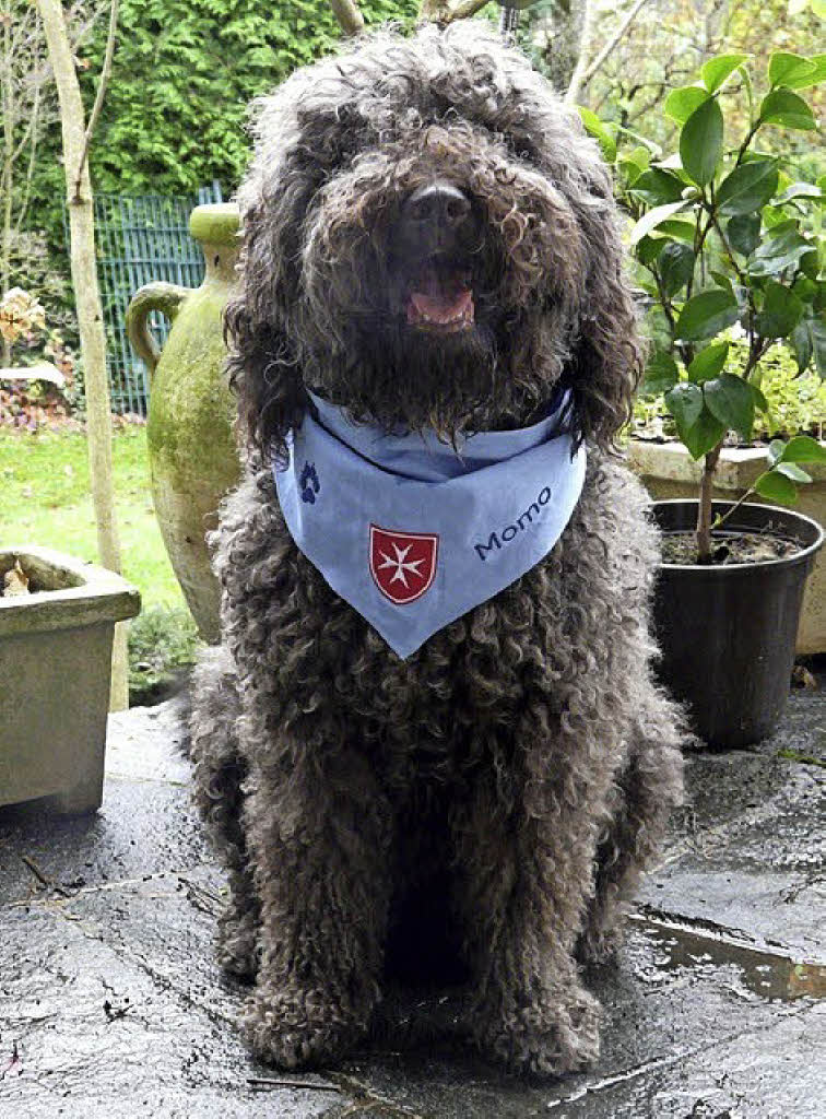 Momo braucht Verstärkung - Badische Zeitung