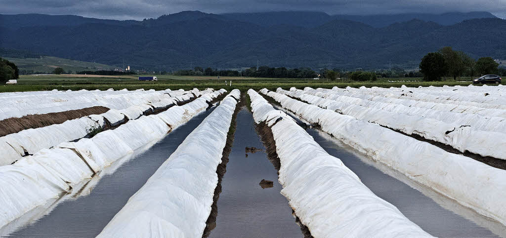"Die Saison ist nicht berauschend" - Badische Zeitung