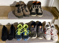 Eine neue Form der Patchworkfamilie Eine neue Form der Patchworkfamilie