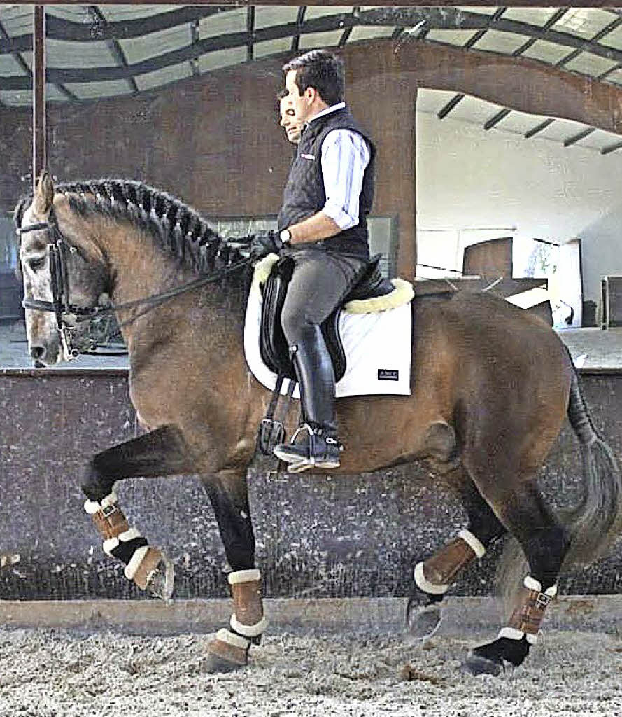 Weltmeisterlich im Sattel - Badische Zeitung