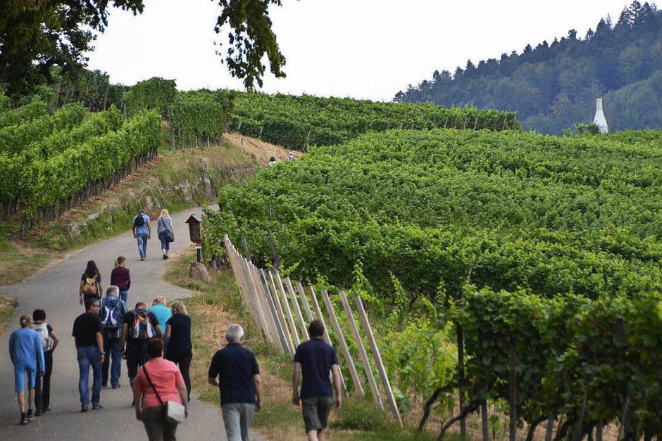 Genuss zwischen Wald und Reben: der 18. Offenburger Weinwandertag 2016 (Foto: Ralf Burgmaier) Genuss zwischen Wald und Reben: der 18. Offenburger Weinwandertag 2016 (Foto: Ralf Burgmaier)