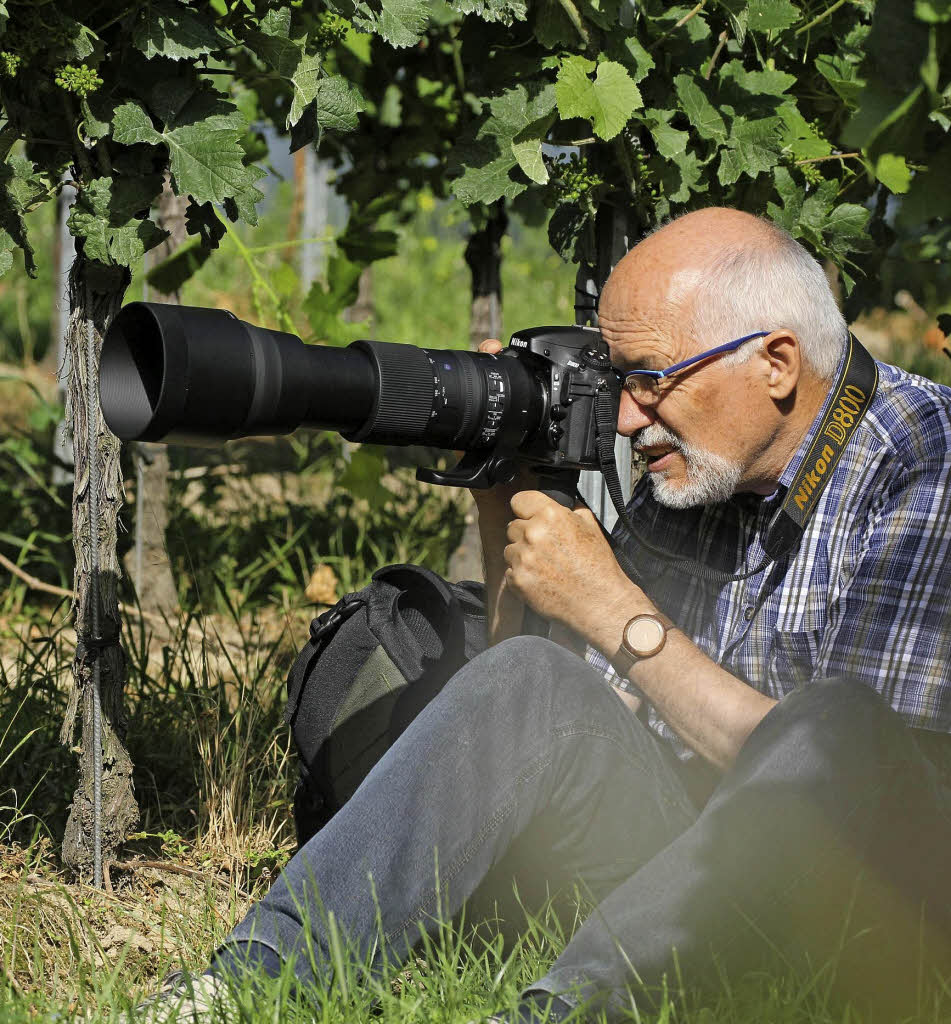 Pflanzen, Tiere und Wasser vor der Linse - Badische Zeitung