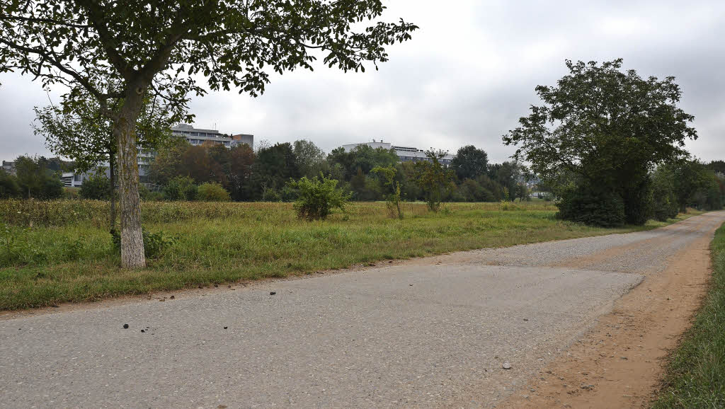 Zufahrt über Südrandstraße - Badische Zeitung