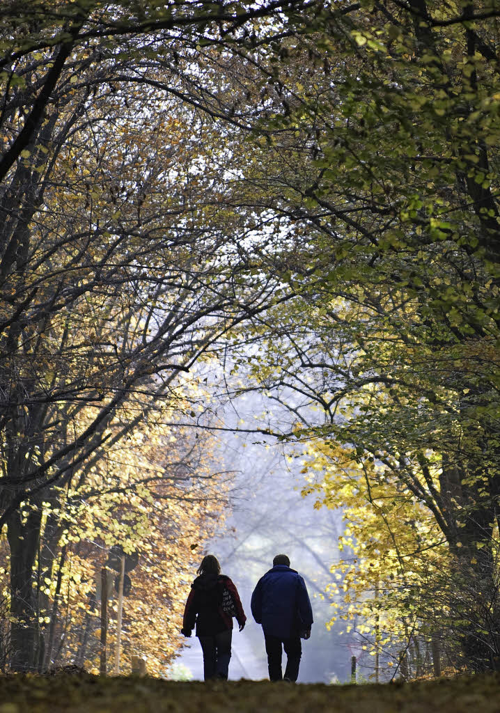 Die Demenz ist ständiger Begleiter - Badische Zeitung