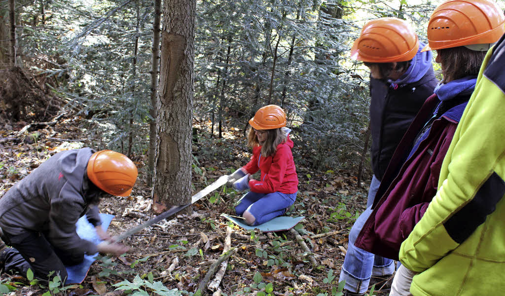 Beim Holzfällen fürs Leben lernen Kirchzarten Badische