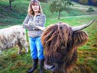 Die Alternative zum Schlachthof – der Weideschuss Die Alternative zum Schlachthof – der Weideschuss