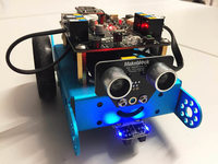 Roborave: Roboter flitzen in Lörrach um die Wette Roborave: Roboter flitzen in Lörrach um die Wette