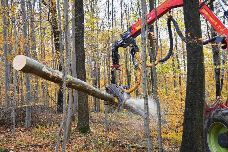 Der Holzvollernter fällt und zerkleinert Bäume im Wald bei Bollschweil. (Foto: Janina Ruth) Der Holzvollernter fällt und zerkleinert Bäume im Wald bei Bollschweil. (Foto: Janina Ruth)