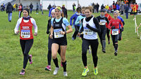 Crosslauf in Wyhl auf der grünen Wiese Crosslauf in Wyhl auf der grünen Wiese