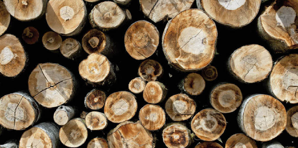 Im grünen Bereich - Badische Zeitung