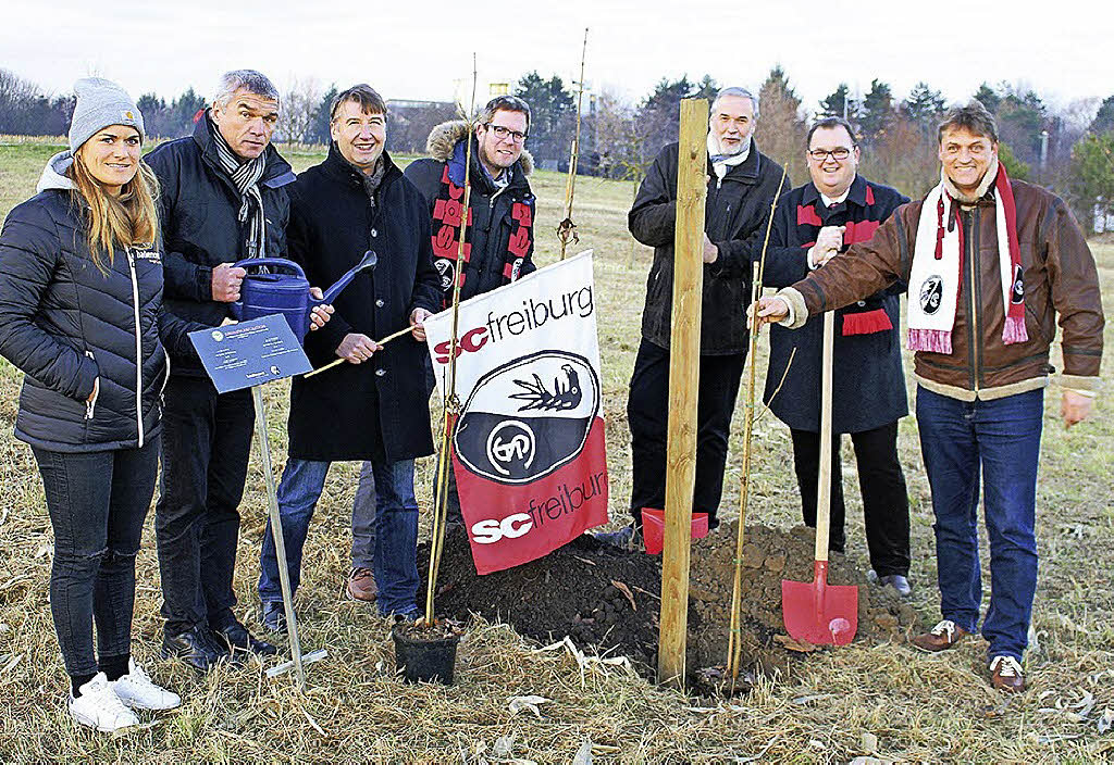 Bäume für SC-Tore in Bad Krozingen gepflanzt - Badische Zeitung