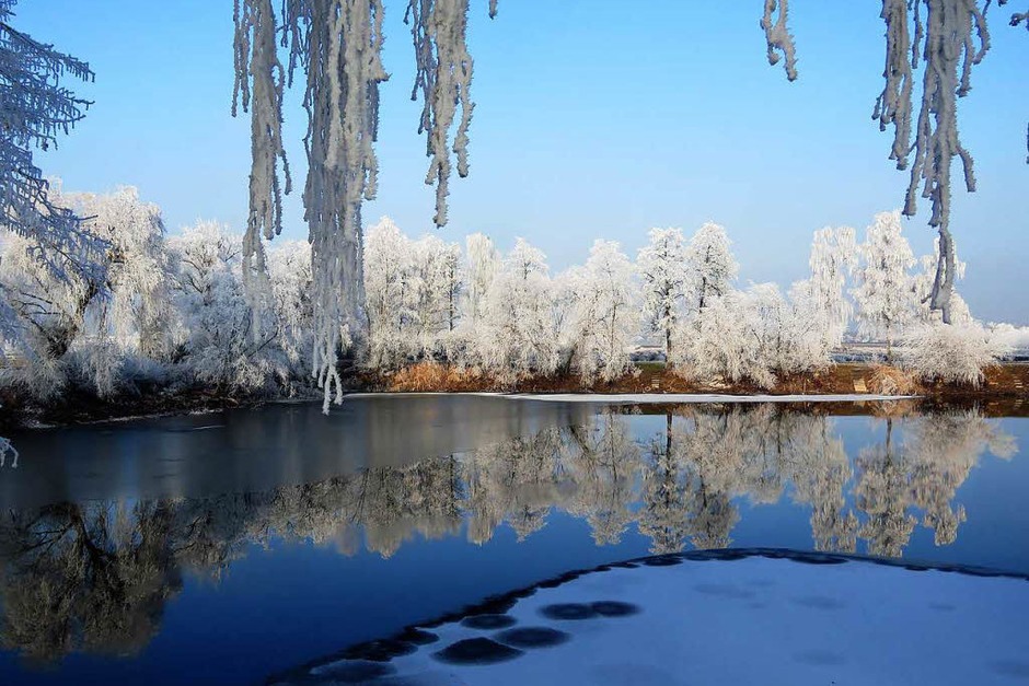 Der Angelweiher in Friesenheim (Foto: Christine Ehlenbröker) Der Angelweiher in Friesenheim (Foto: Christine Ehlenbröker)