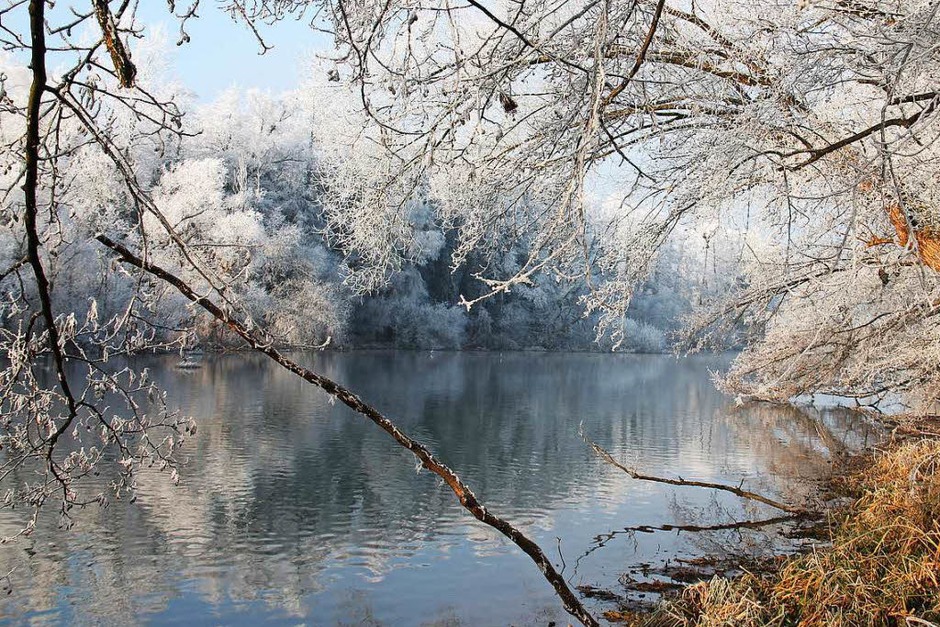 Am Baggersee in Wittenweier. (Foto: Beate Rottler) Am Baggersee in Wittenweier. (Foto: Beate Rottler)