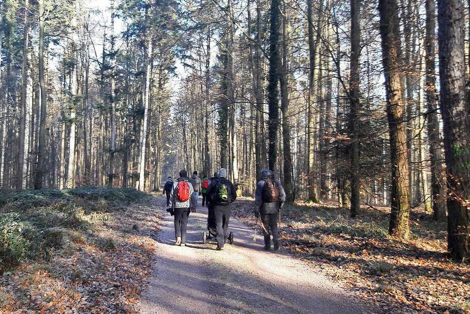 Wanderung von Lahr in Richtung Geroldseck (Foto: Christian Kramberg) Wanderung von Lahr in Richtung Geroldseck (Foto: Christian Kramberg)