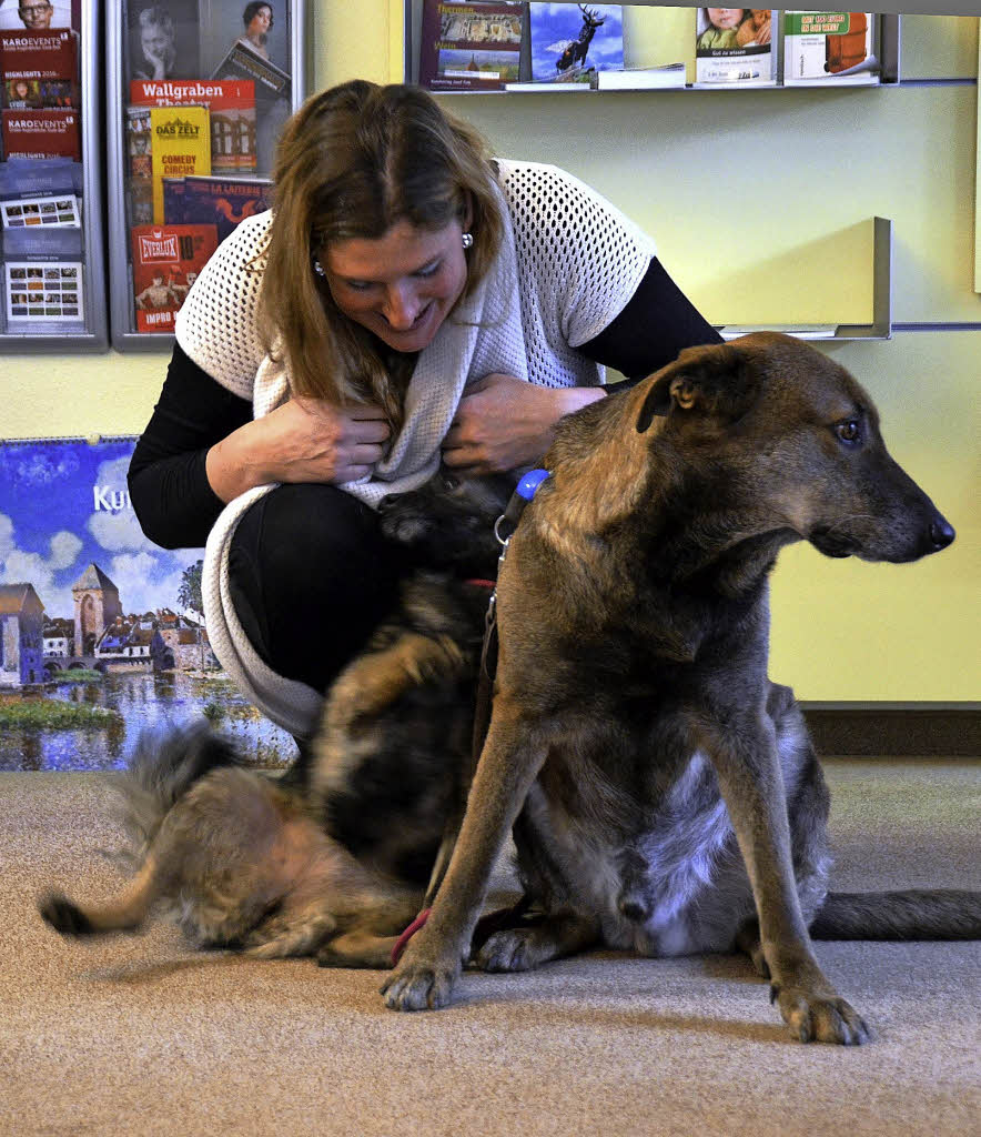 Urlaubsliebe auf vier Beinen - Badische Zeitung