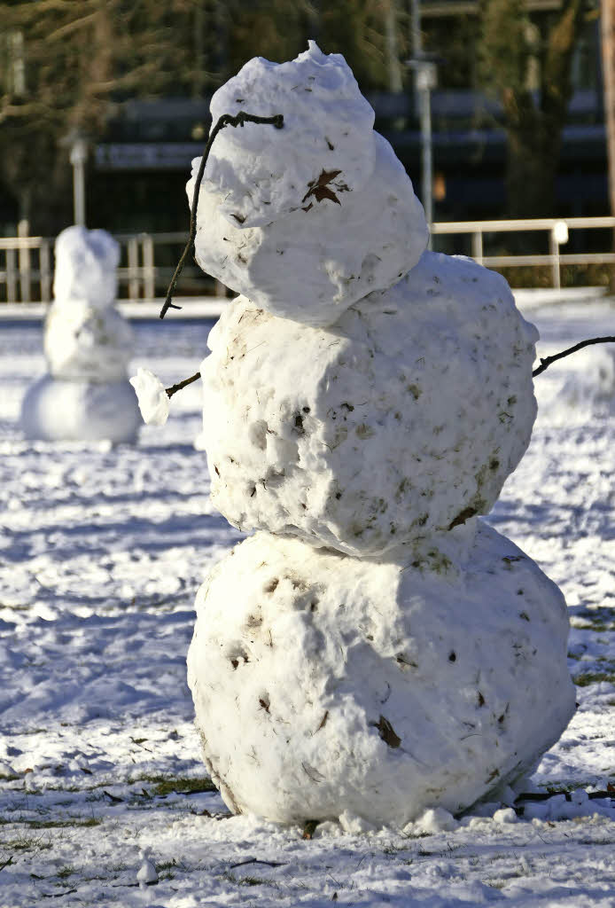 Zum Welttag des Schneemanns - Badische Zeitung