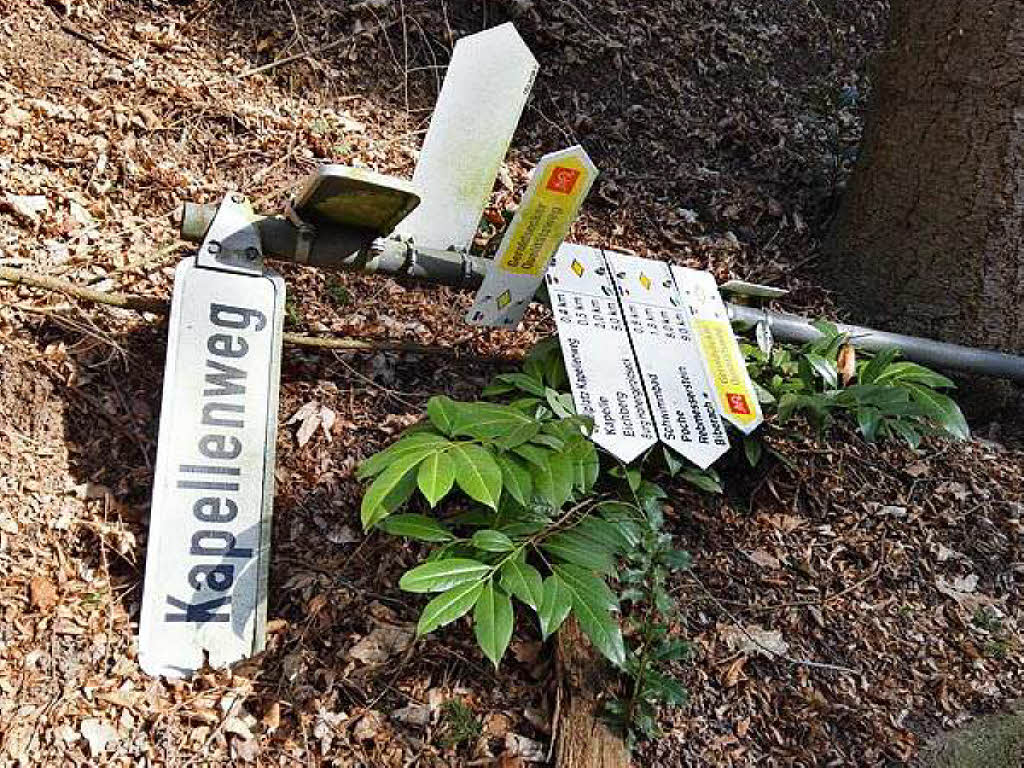 Lahr: Beschädigungen im Lahrer Wald: Wegewarte des ... - Badische Zeitung