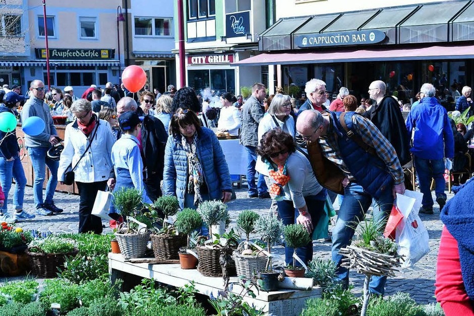 Impressionen vom Lahrer Blütensonntag (Foto: Wolfgang Künstle) Impressionen vom Lahrer Blütensonntag (Foto: Wolfgang Künstle)