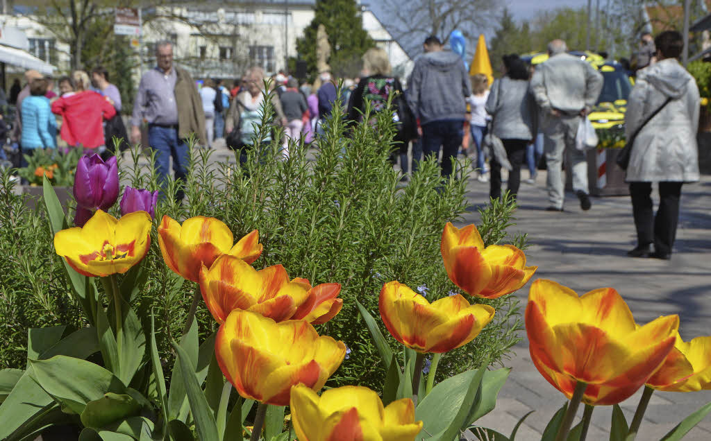Von der Handwerker- über die Automeile zur Modenschau - Badische Zeitung