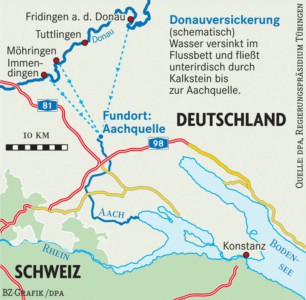 Europas erster Höhlenfisch in Baden-Württemberg entdeckt - Südwest