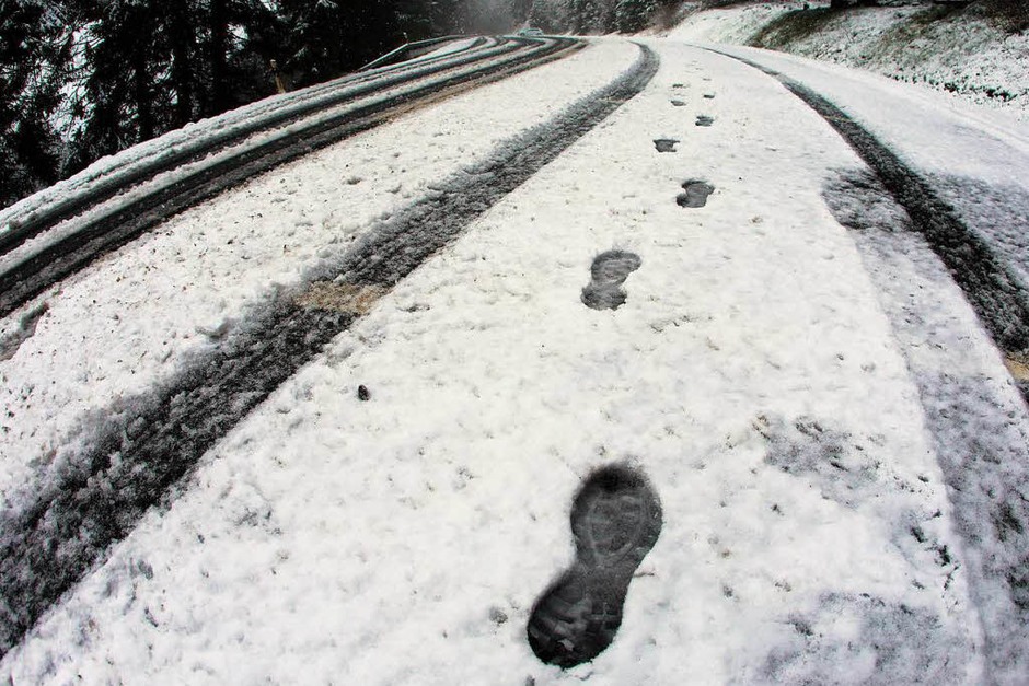 Schnee liegt am Ostermontag auf den Blattknospen eines Strauchs auf dem Großen Feldberg im Taunus (Hessen). (Foto: dpa) Schnee liegt am Ostermontag auf den Blattknospen eines Strauchs auf dem Großen Feldberg im Taunus (Hessen). (Foto: dpa)