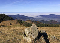 VON HINTERZARTEN NACH KIRCHZARTEN / 19. AUGUST 2017 VON HINTERZARTEN NACH KIRCHZARTEN / 19. AUGUST 2017