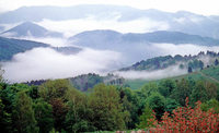 Am Oberrhein, in der Fremde Am Oberrhein, in der Fremde