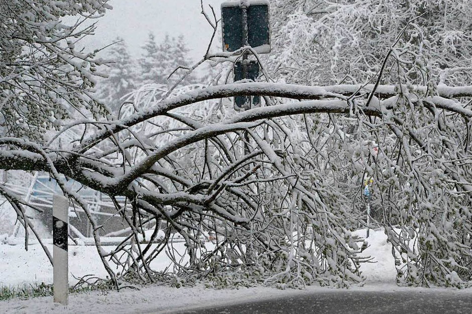 Ein Fahrzeug der Straßenmeisterei steht auf der B500 bei Schluchsee im Schwarzwald vor einem umgestürzten Baum. (Foto: dpa) Ein Fahrzeug der Straßenmeisterei steht auf der B500 bei Schluchsee im Schwarzwald vor einem umgestürzten Baum. (Foto: dpa)