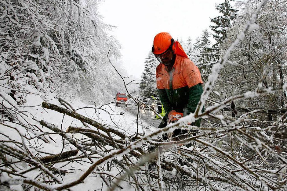 Ein Feuerwehrmann zersägt einen durch die Schneelast umgestürzten Baum, der auf der L275 bei Ittenhausen (Foto: dpa) Ein Feuerwehrmann zersägt einen durch die Schneelast umgestürzten Baum, der auf der L275 bei Ittenhausen (Foto: dpa)