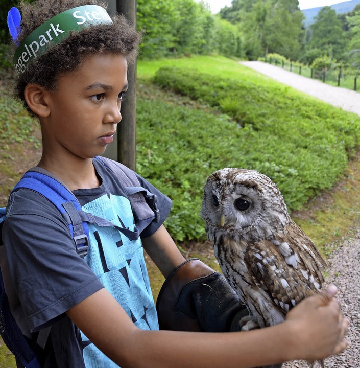 Vogelpark Steinen Steinen Badische Zeitung