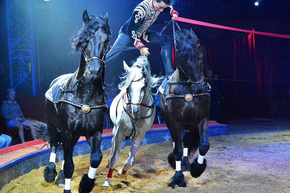 Menschen, Tiere, Sensationen: die Premiere des Schweizer Nationalcircus Knie in Basel. (Foto: Barbara Ruda) Menschen, Tiere, Sensationen: die Premiere des Schweizer Nationalcircus Knie in Basel. (Foto: Barbara Ruda)