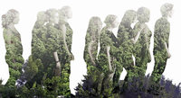 Wald, Wildnis und Abenteuer Wald, Wildnis und Abenteuer