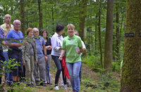65 Beisetzungen im Ruhewald seit April 2016 65 Beisetzungen im Ruhewald seit April 2016