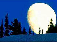 Schläft man bei Vollmond wirklich schlechter? Schläft man bei Vollmond wirklich schlechter?