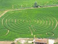 Das Maisfeldlabyrinth Opfingen in Opfingen ist wieder auf Das Maisfeldlabyrinth Opfingen in Opfingen ist wieder auf