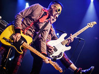 Fotos: New Model Army und The Toy Dolls auf dem ZMF Fotos: New Model Army und The Toy Dolls auf dem ZMF