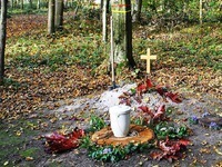 Unbekannte bauen illegale MTB-Strecke durch Friedwald Unbekannte bauen illegale MTB-Strecke durch Friedwald